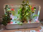 Click 'n Grow 9 - Slimme binnentuin, Ophalen, Zo goed als nieuw, Kweekbak