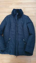 Nieuwe Marineblauwe Winterjas - Maat M, Kleding | Dames, Maat 38/40 (M), Blauw, Daybreak, Nieuw