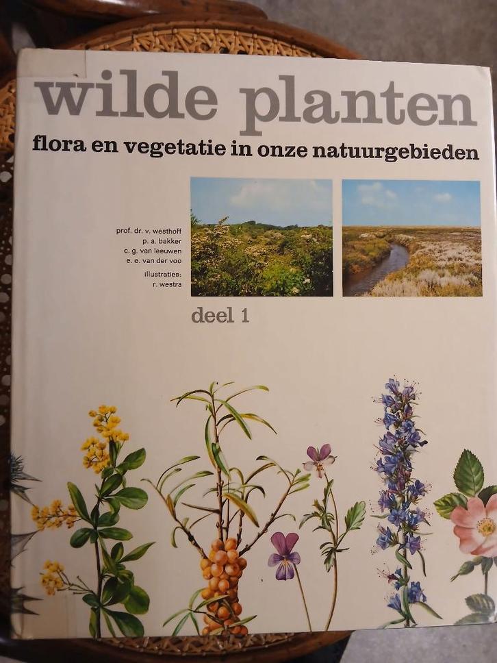 boeken, Boeken, Studieboeken en Cursussen, Zo goed als nieuw, HBO, Beta, Ophalen of Verzenden