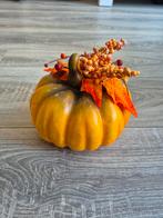 Leuke pompoen decoratie, Kunststof, Groen, Ophalen of Verzenden, Zo goed als nieuw