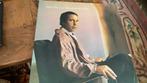 Paul Simon. Greatest Hits, Etc, Cd's en Dvd's, Vinyl | Pop, Ophalen of Verzenden, 1980 tot 2000, Zo goed als nieuw