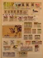 VOGELS - MINDER GEBRUIKELIJK MATERIAAL - leuk kavel (E26), Verzenden, Buitenland