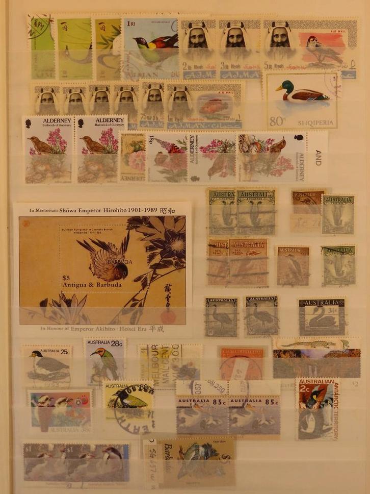 VOGELS - MINDER GEBRUIKELIJK MATERIAAL - leuk kavel (E26), Postzegels en Munten, Postzegels | Volle albums en Verzamelingen, Buitenland