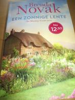 roman van BRENDA NOVAK, Boeken, Ophalen of Verzenden, Zo goed als nieuw, Nederland