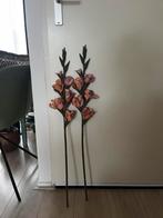 Zijdebloem gladiool, Ophalen, Zo goed als nieuw