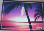 Boomerang - Create your own summer love - nieuw - P08-05, Verzamelen, Verzenden, 1980 tot heden, Ongelopen, Overige thema's