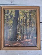 Boslandschap Schilderij - H.W. Gesigneerd, Ophalen