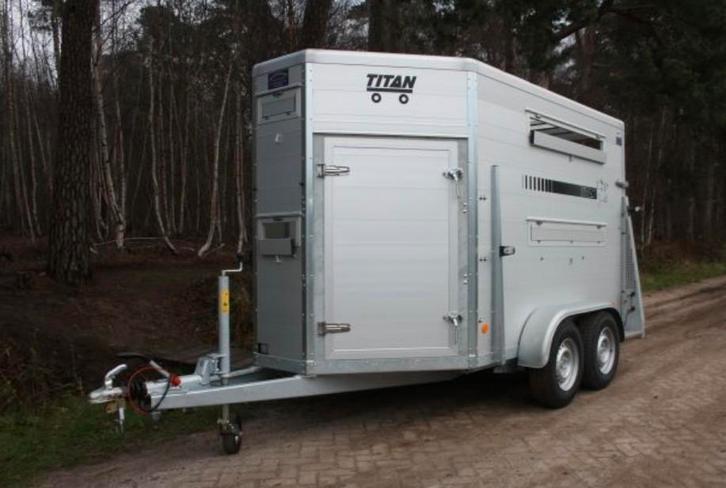 Gezocht, Dieren en Toebehoren, Schapen, Geiten en Varkens, Varken, Meerdere dieren