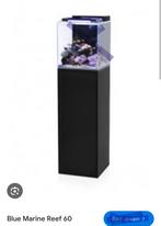 GEZOCHT AquariumMEUBEL Blue marine reef 60 zwart, Dieren en Toebehoren, Ophalen of Verzenden, Zo goed als nieuw