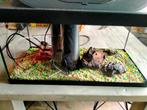 Mooi - aquarium Tetra 54 liter, Dieren en Toebehoren, Vissen | Aquaria en Toebehoren, Ophalen, Zo goed als nieuw, Leeg aquarium