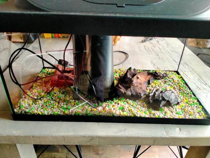 Mooi - aquarium Tetra 54 liter, Dieren en Toebehoren, Vissen | Aquaria en Toebehoren, Zo goed als nieuw, Leeg aquarium, Ophalen