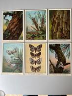 Verzamellaarten, Ophalen of Verzenden, Gebruikt