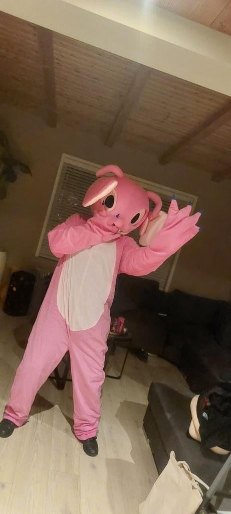 Leuke mascotte te huur..., Ophalen, Zo goed als nieuw, Maat 46/48 (XL) of groter, Carnaval