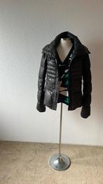 Nieuw Guess jas dons zwart maat M, Ophalen of Verzenden, Zo goed als nieuw, Zwart