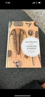 Geheime Kamers - Jeroen Brouwers - Mooie Staat, Boeken, Ophalen of Verzenden, Zo goed als nieuw, Nederland