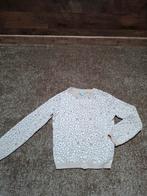 Meisjes vest 110/116, Meisje, Trui of Vest, Ophalen of Verzenden, Zo goed als nieuw
