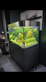 Aquarium lichtkappen, Dieren en Toebehoren, Ophalen of Verzenden, Nieuw