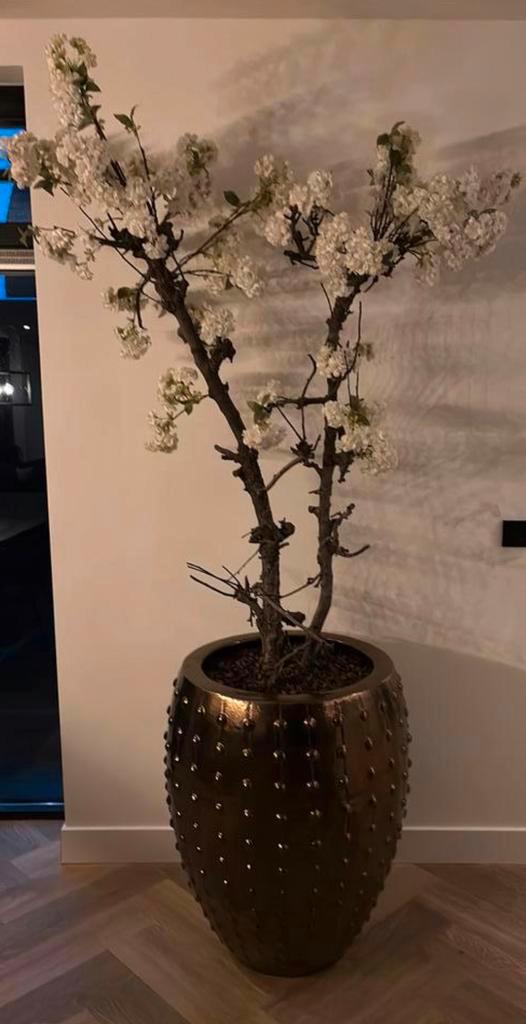Bronzen Pot met Bloesemboom - Gedemonteerd, Huis en Inrichting, Woonaccessoires | Kunstplanten en Kunstbloemen, Zo goed als nieuw