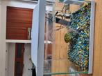 Aquaurium, Dieren en Toebehoren, Ophalen, Gebruikt, Leeg aquarium