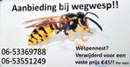 Last van wespen, wespennest? Wij helpen u graag..