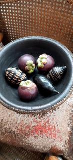 Bamboe  schaal, Huis en Inrichting, Woonaccessoires | Schalen en Manden, Ophalen of Verzenden, Zo goed als nieuw, Rond, Hout