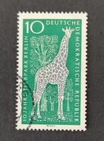 DDR 3007005 Giraffe, Verzenden, Gestempeld, Dier of Natuur