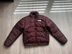 The North Face winterjacket TFN 2000 Coal brown S, Ophalen of Verzenden, Zo goed als nieuw, Bruin