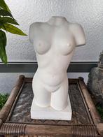 Torso borstbeeld vrouw naakt, Ophalen of Verzenden, Zo goed als nieuw