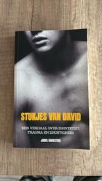 Joris Hoekstra - Stukjes van David, Joris Hoekstra, Ophalen of Verzenden, Zo goed als nieuw, Nederland