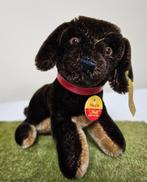 Steiff hond hondje teckel Hexie spaniel 12cm mohair beer pop, Verzamelen, Ophalen of Verzenden, Stoffen beer, Steiff