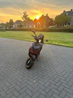 Piaggio Zip SP H2O, Fietsen en Brommers, Scooters | Piaggio, Ophalen, Tweetakt, Gebruikt, Maximaal 45 km/u