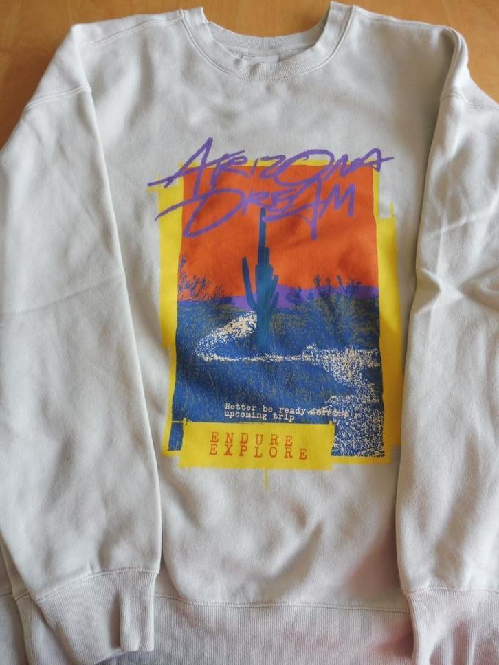 Grijze herensweater met print maat XL, Kleding | Heren, Truien en Vesten, Zo goed als nieuw, Maat 56/58 (XL), Grijs, Ophalen of Verzenden