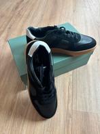 Minelli schoenen voor mannen maat 42, Nieuw, Ophalen of Verzenden, Minelli, Zwart