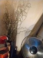 kronkeltakken (hazelaar) feest, kersttakken nieuw, Ophalen, Nieuw