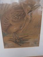 ROERDOMP, Mooie Aquarel/litho, van Chris Le Roy, Antiek en Kunst, Ophalen