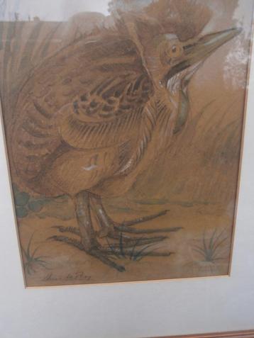ROERDOMP, Mooie Aquarel/litho, van Chris Le Roy  beschikbaar voor biedingen