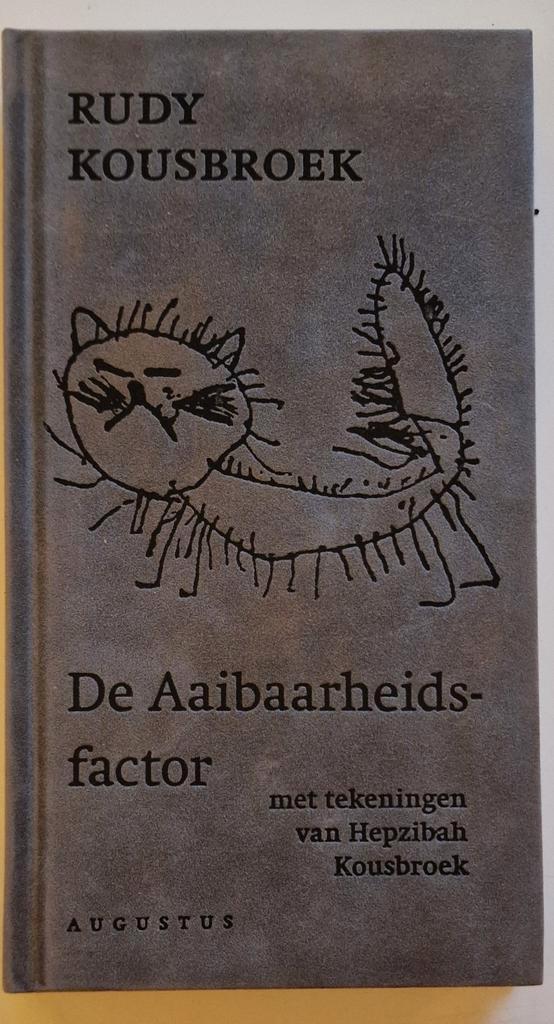 De Aaiibaarheidsfactor - Rudy Kousbroek, Boeken, Romans, Gelezen, Nederland, Ophalen of Verzenden