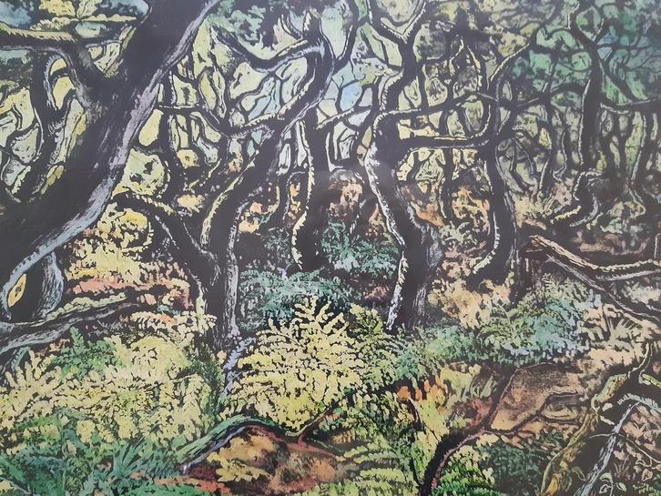 Prachtig schilderij  bos landschap gesigneerd met monogram, Antiek en Kunst, Kunst | Schilderijen | Modern, Ophalen of Verzenden