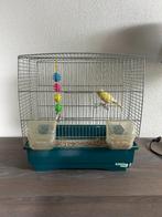Mooie gele kanarie man + Ferplast kooi, Dieren en Toebehoren, Vogels | Kanaries, Mannelijk, Zangkanarie