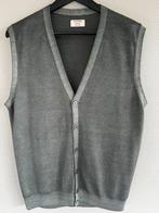 Gran Sasso Gilet Wol Grijs Groen Maat 50 Nieuwstaat, Overige kleuren, Maat 48/50 (M), Ophalen of Verzenden, Gran Sasso