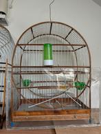 2 Twa Twa-hokken + Originele Voeding uit Brazilië., Dieren en Toebehoren, Ophalen, Zo goed als nieuw, Hout, Vogelkooi