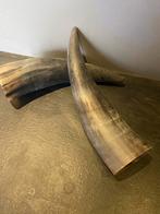 Decoratieve Hoorns, Ophalen of Verzenden, Nieuw