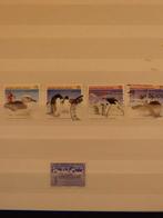 VOGELS - vnl.PINGUINS - (K304), Postzegels en Munten, Postzegels | Volle albums en Verzamelingen, Verzenden, Buitenland