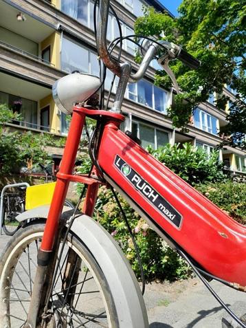 Puch Maxi L beschikbaar voor biedingen