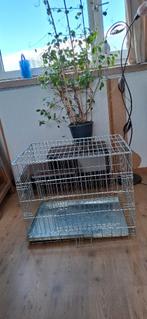 Bench voor hond, Dieren en Toebehoren, Hondenbenches, Ophalen, Gebruikt