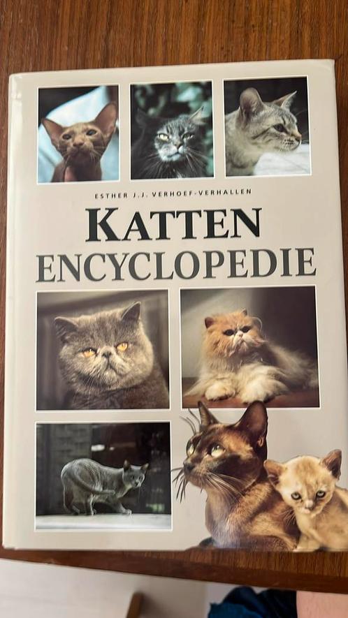 E.J.J. Verhoef-Verhallen - Katten encyclopedie, Boeken, Dieren en Huisdieren, Gelezen, Katten, Ophalen of Verzenden