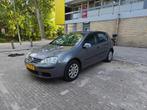 Volkswagen Golf 1.4 FSI 5-deurs 2006 Grijs, Voorwielaandrijving, 4 cilinders, 620 kg, Handgeschakeld