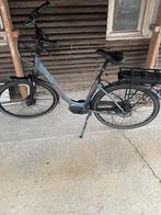 Stella Livorno, Ophalen of Verzenden, Zo goed als nieuw, Overige merken