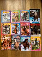 Penny, De Hoefslag, Manege & Ruiter, Ophalen of Verzenden, Sport en Vrije tijd