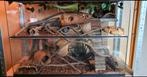 XL terrarium met add-on, Ophalen, Kooi, 60 tot 90 cm, Hamster